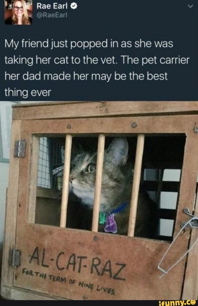 Rae Earl @
My friend just popped in as she was taking her cat to the vet. The pet carrier her dad made her may be the best thing ever