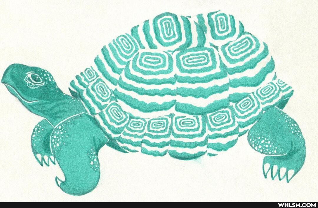 micronpens, tortoise, green
