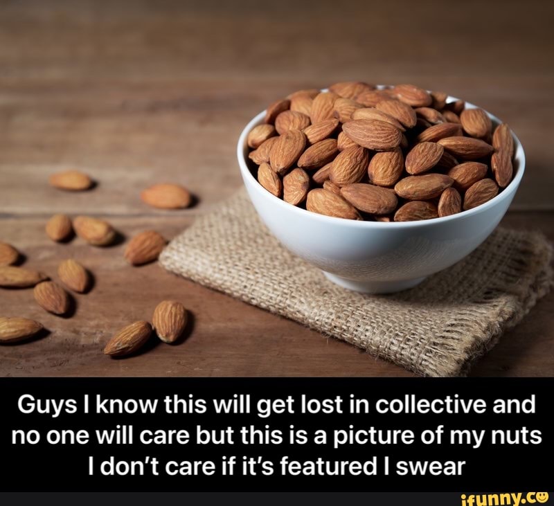 Guys I know this will get lost in collective and no one will care but this is a picture of my nuts
I don't care if it's featured I swear - Guys I know this will get lost in collective and no one will care but this is a picture of my nuts I don’t care if it’s featured I swear