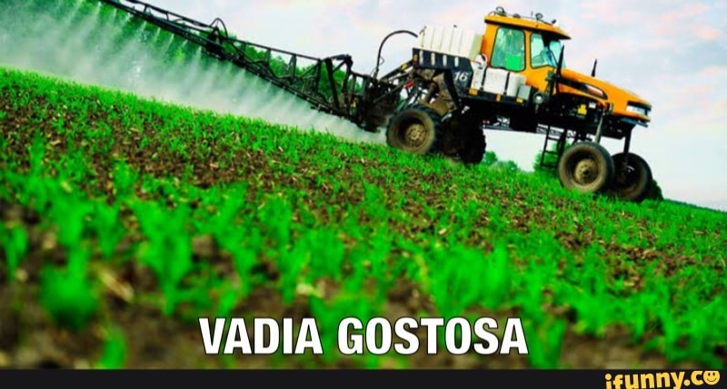 ha
VADIA GOSTOSA