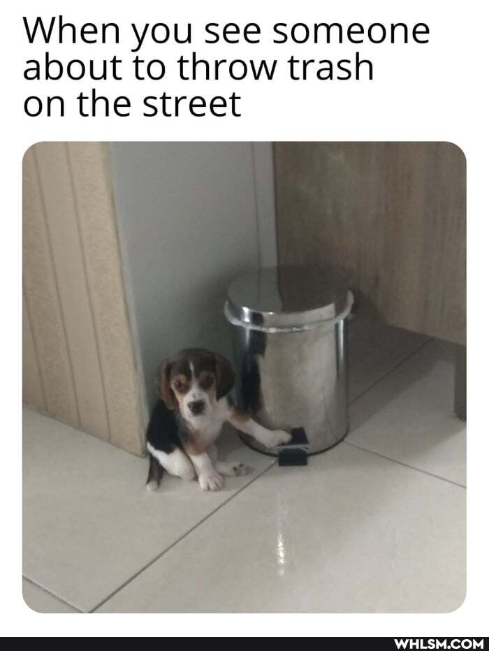 When you see someone about to throw trash on the street