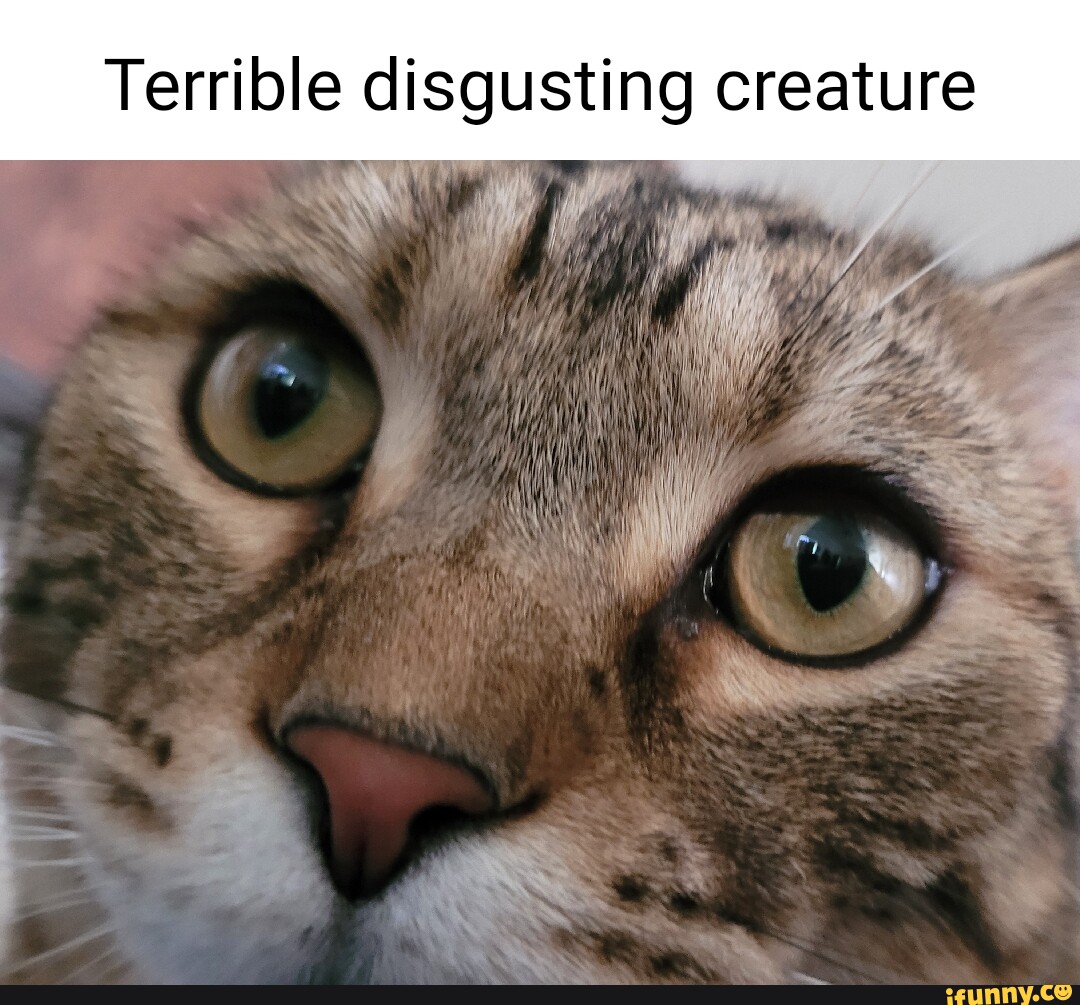 terrible-disgusting-creature-ifunny-brazil