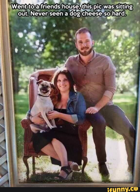 Every time I take my dog for a walk she has to stop to see her crush