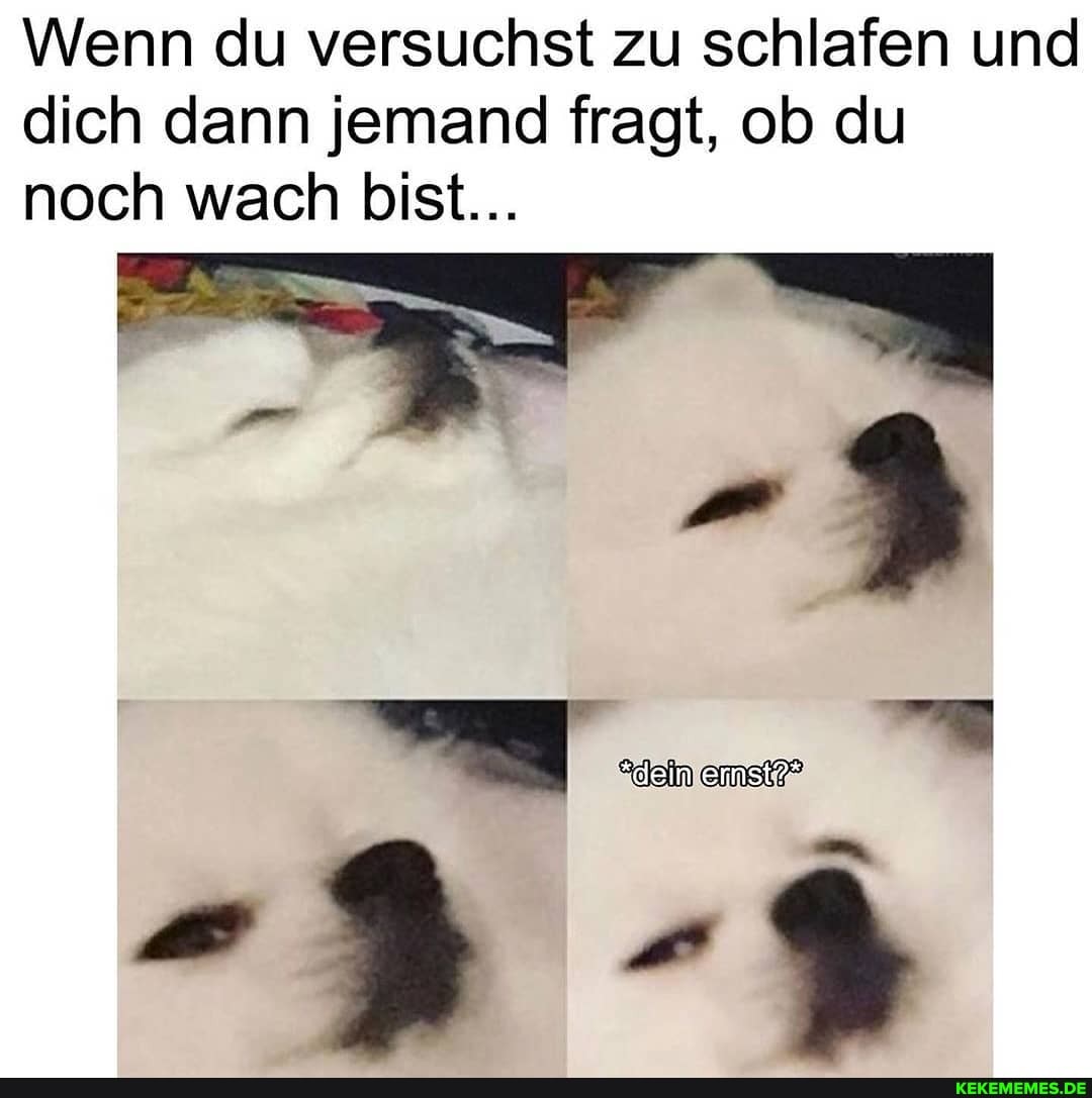 Wenn du versuchst zu schlafen und dich dann jemand fragt, ob du noch wach bist...
"dein
IN