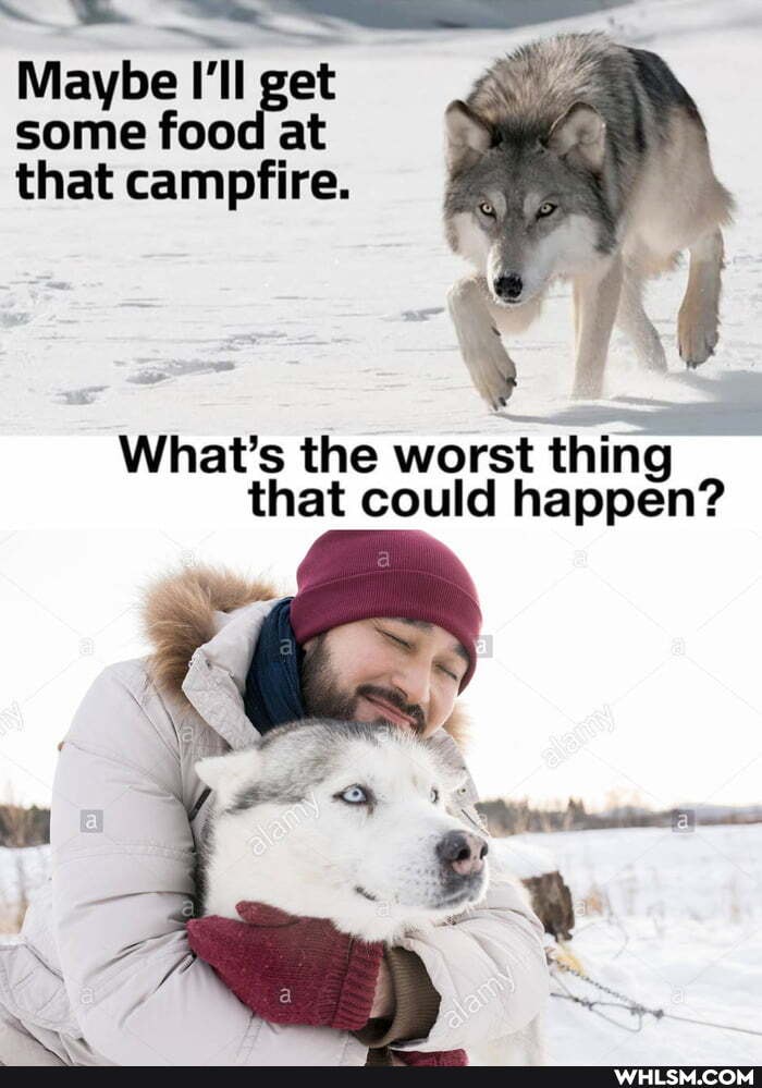 Maybe I'll get some food at that campfire.
What's the worst thing that could happen?