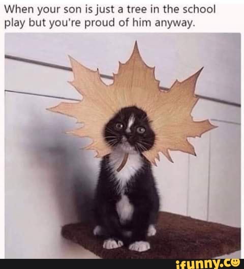 When your son is just a tree in the school play but you're proud of him anyway.