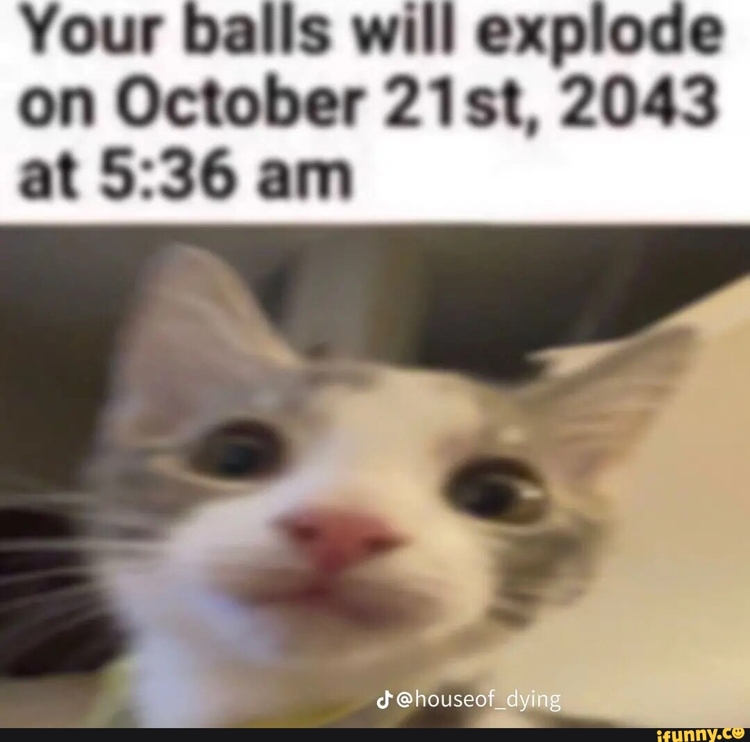 your-balls-will-explode-on-october-21st-2043-at-am-ifunny-brazil