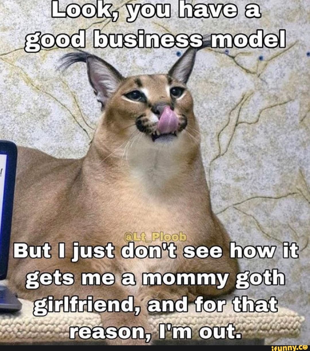 ,Look, you have a good business model
But I just don't see how it gets me a mommy goth
_ Sirlfriend, and for that reason, I'm out.