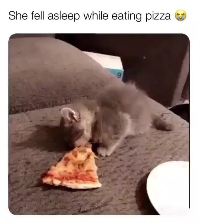 She Fell Asleep While Eating Pizza 4 Ifunny