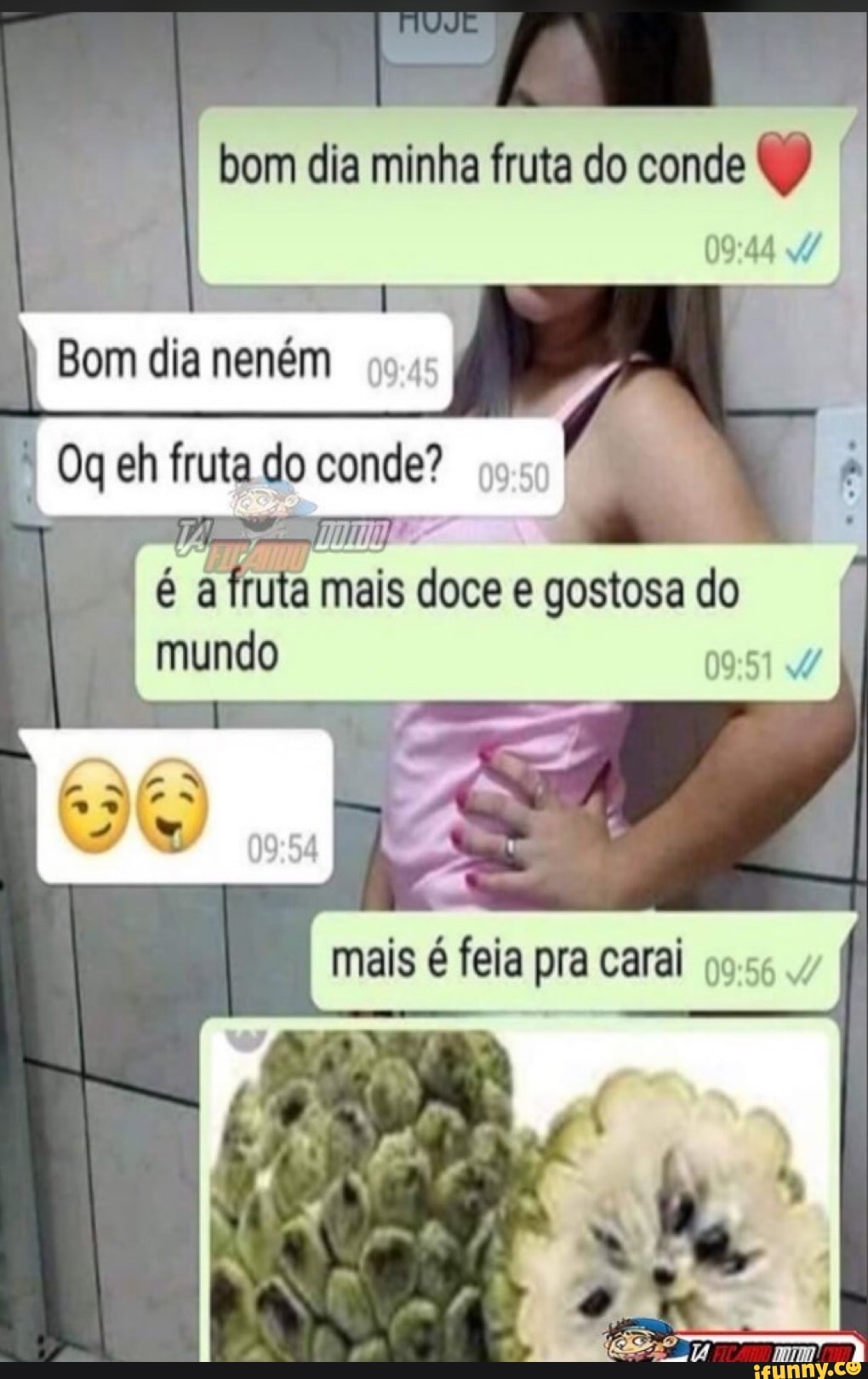 bom dia minha fruta do conde
Bom dia neném Oq eh fruta do conde?