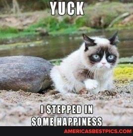 STEPPED IN SOME HAPPINESS