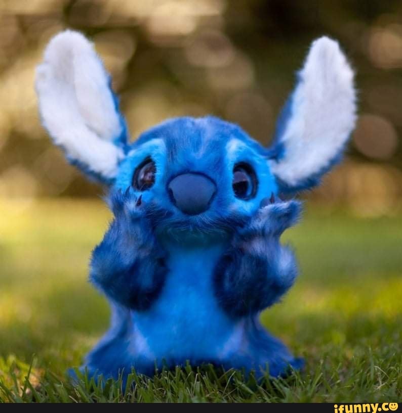realistic, stitch, stuffedanimal, toocute