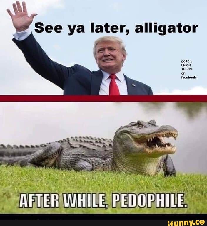 После while. See you later, Alligator. Memes pedophile. Alligator meme. See you later Alligator meme.