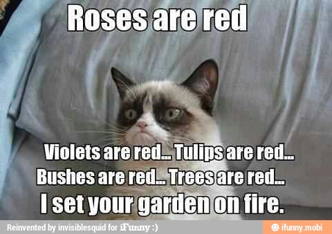 A
Violets are
red Tulins are red.
Bushes are red= Trees) arered..
I set your/gardenjon fire.