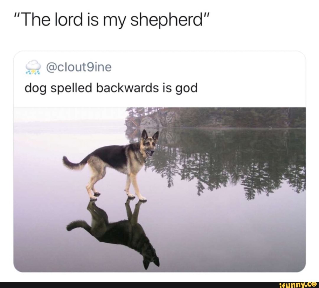 The Lord Is My Shepherd Dog Spelled Backwards Is God Ifunny