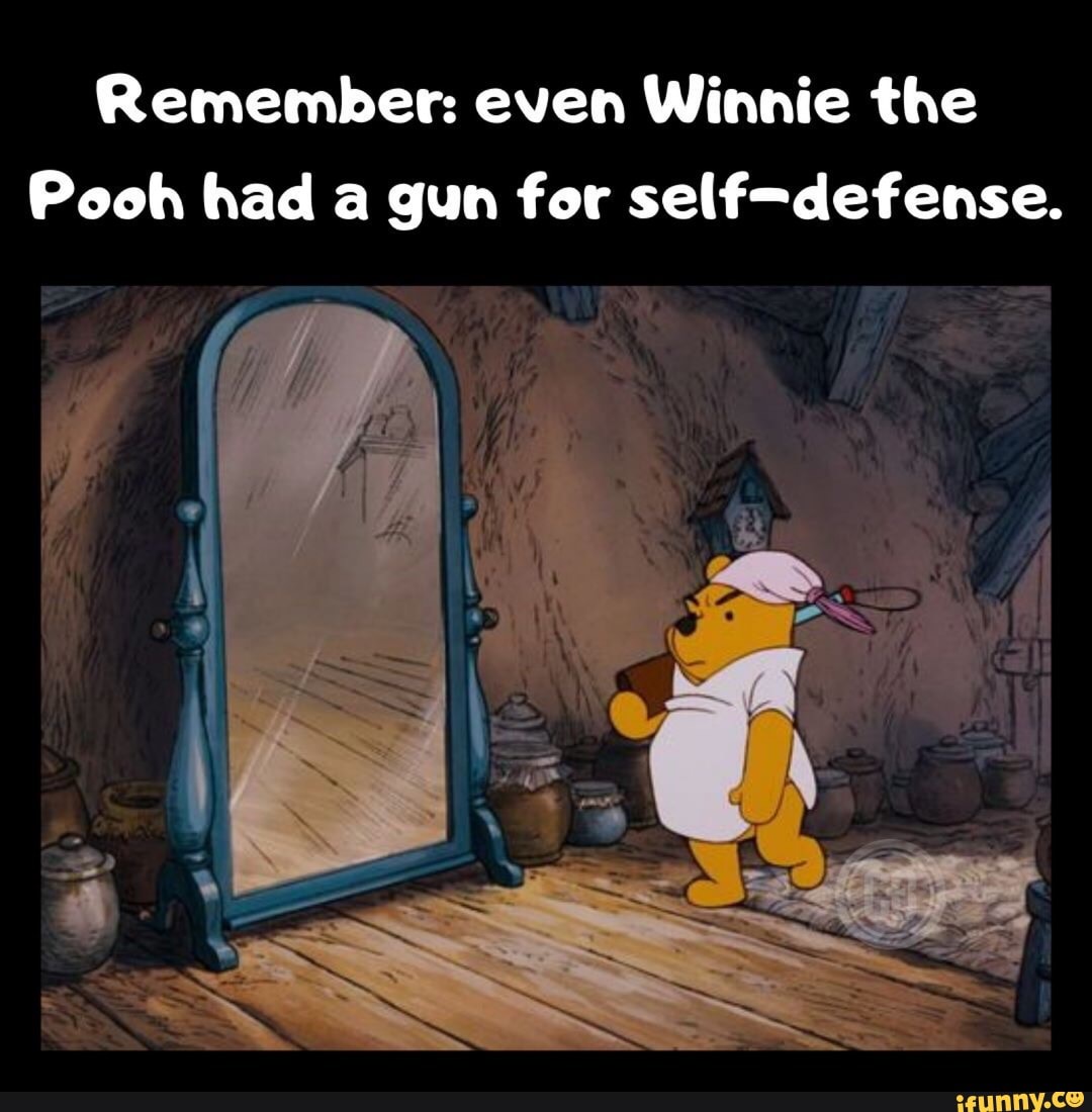 Remember: even Winnie the Pooh had a gun for seIf-defense. - iFunny