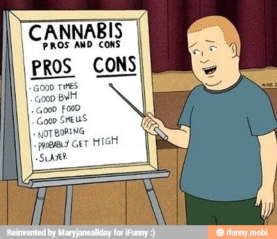 ANNABIS
PROS AND CONS
PROS. CONS
-SLANER