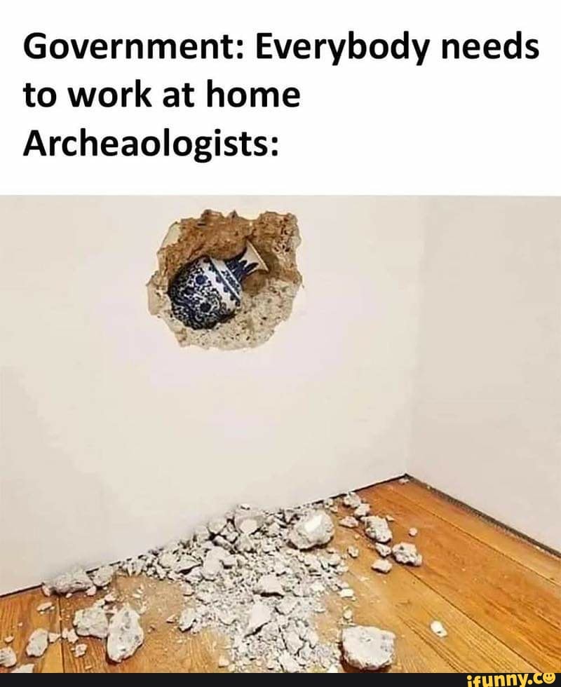 Government: Everybody needs
to work at home
Archeaologists: