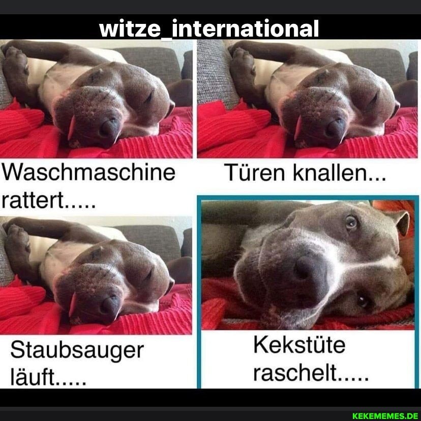 witze international
Waschmaschine Türen knallen...
rattert
Kekstüte raschelt.....