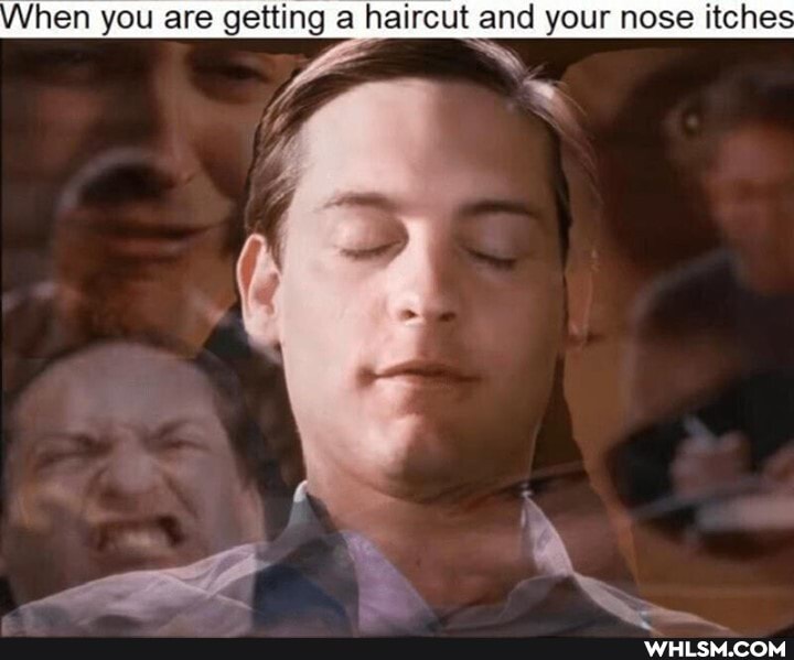 hen you are getting a haircut and your nose itche
