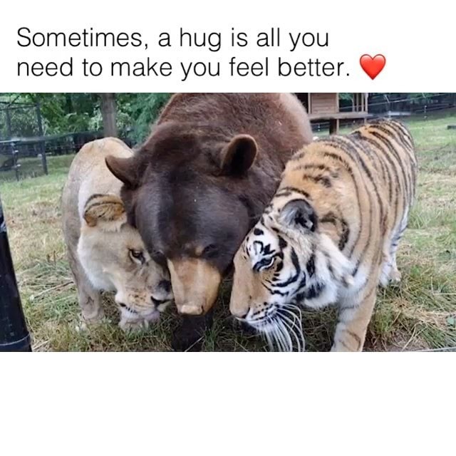 Sometimes, a hug is all you need to make you feel better ...