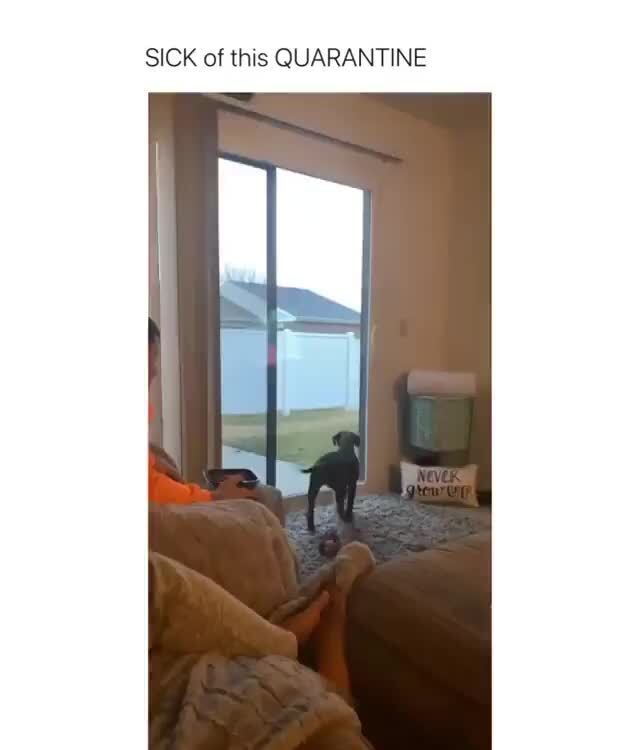 SICK of this QUARANTINE