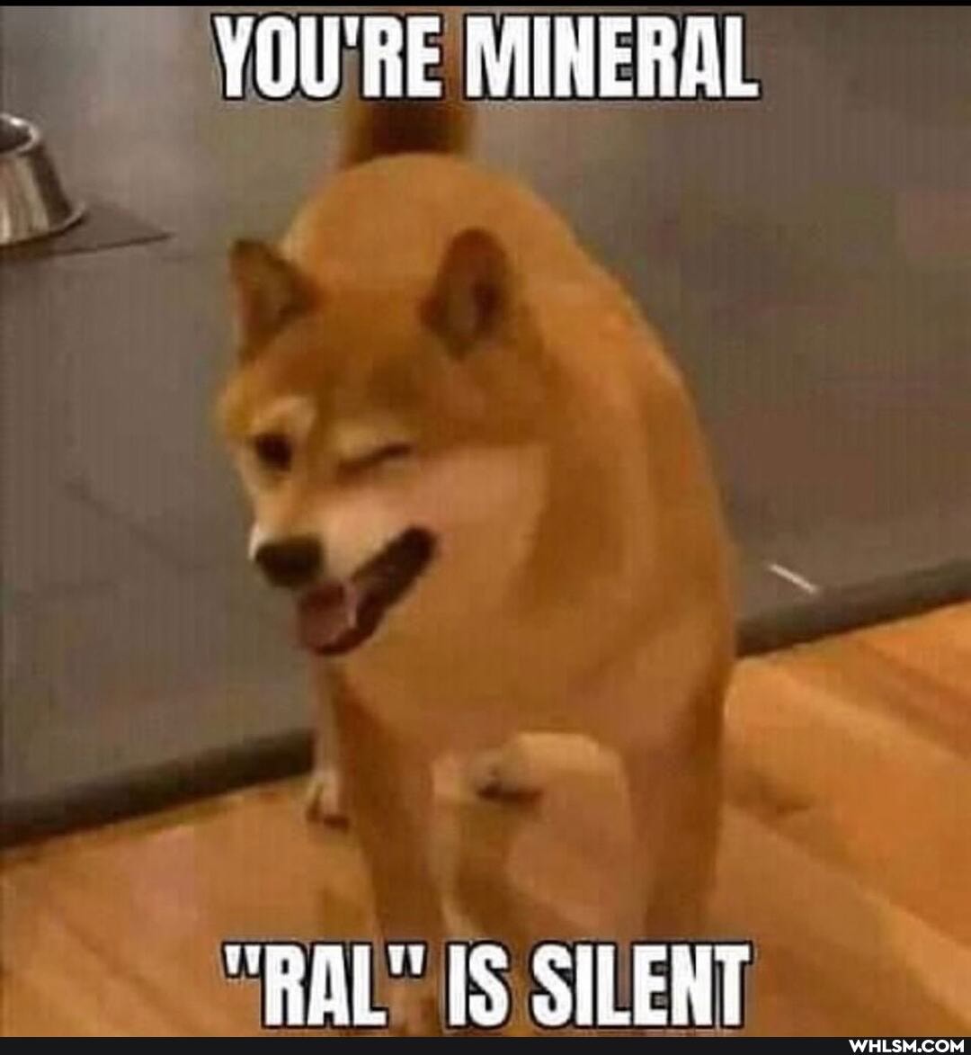 YOU'RE MINERAL
RAT IS SILENT