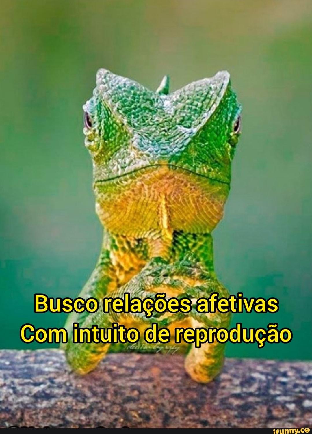 Busco
Com dereprodução