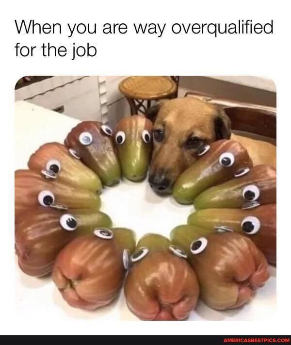 When you are way overqualified for the job