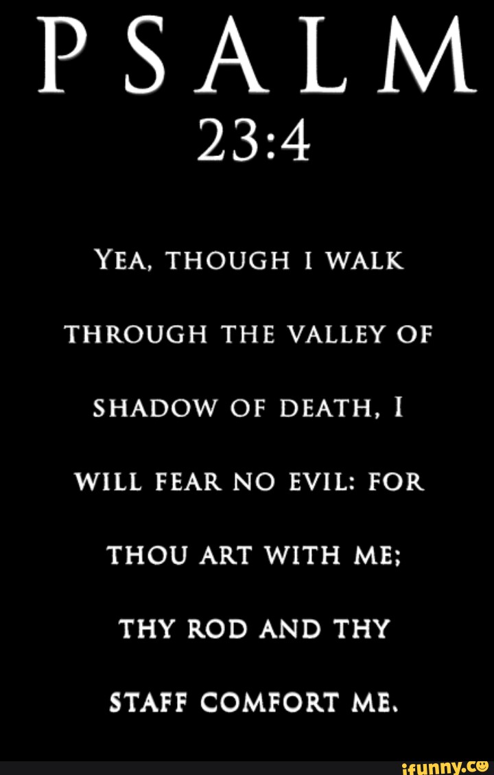 Psalm yea though i walk through the valley of shadow of death i will