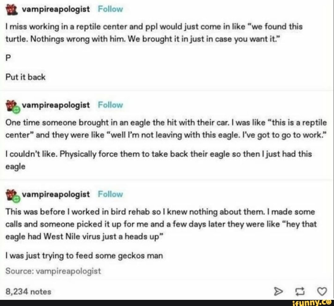 I miss working in a reptile center and pp! would just come in like "we found this turtle. Nothings wrong with him. We brought it in just in case you want it."
vampireapologist Follow
Put it back
vampireapologist Follow
One time someone brought in an eagle the hit with their car. I was like "this is a reptile center" and they were like "well I'm not leaving with this eagle. I've got to go to work."
I couldn't like. Physically force them to take back their eagle so then I just had this eagle
This was before I worked in bird rehab so I knew nothing about them. I made some calls and someone picked it up for me and a few days later they were like "hey that eagle had West Nile virus just a heads up"
vampireapologist Follow
I was just trying to feed some geckos man
Source: vampireapologist
8,234 notes >