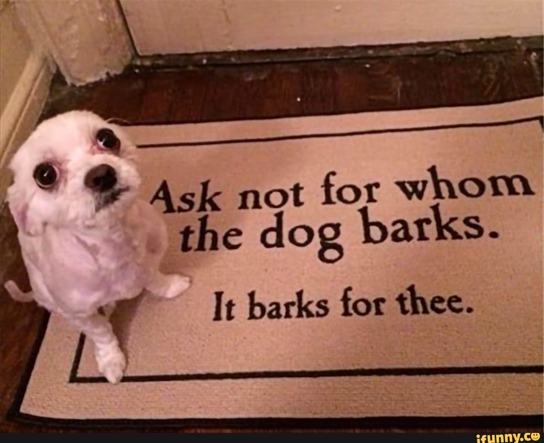 LO
Ask not for whom
the dog barks.
It barks for thee.