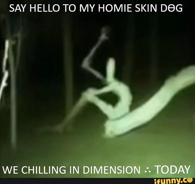 say-hello-to-my-homie-skin-deg-we-chilling-in-dimension-today-ifunny