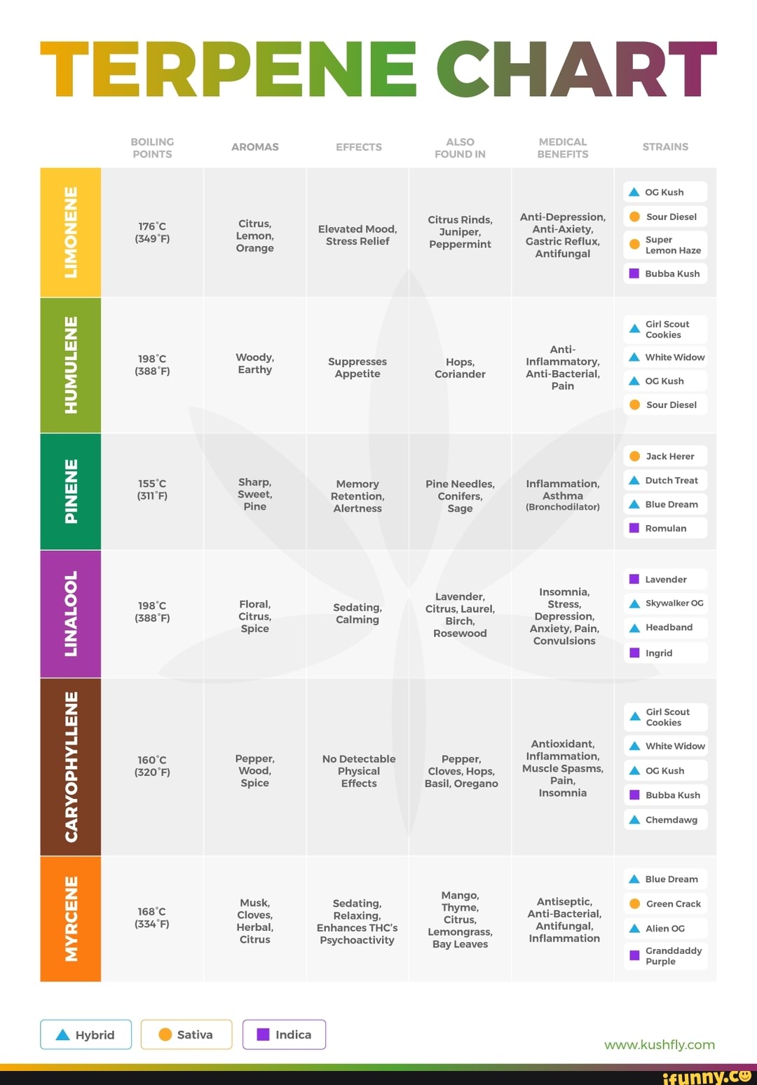 terpene-chart-boiling-points-al-wi-ww-ww-aromas-citrus-lemon-orange