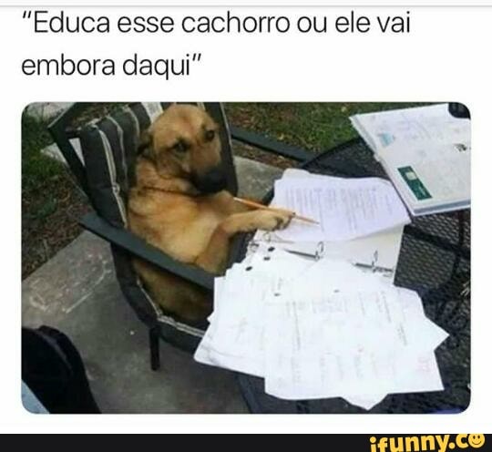 "Educa esse cachorro ou ele vai
embora daqui"