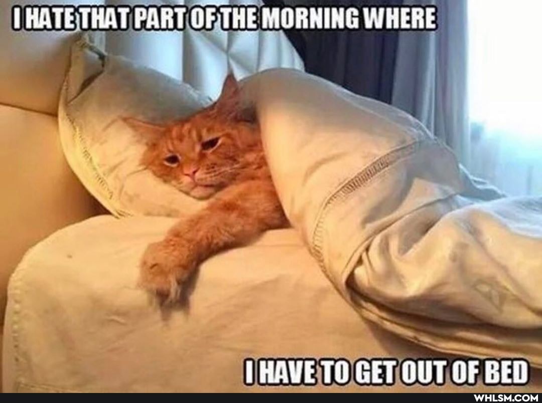 THATE THAT /PART OFTHE MORNING WHERE