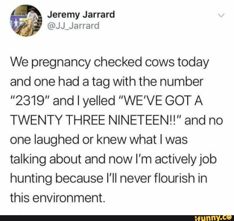 Jeremy
@JJ_Jarrard
We pregnancy checked cows today and one had a tag with the number
"2319" and I yelled "WE'VE GOT A TWENTY THREE NINETEEN!!" and no one laughed or knew what I was talking about and now I'm actively job hunting because I'll never flourish in this environment.