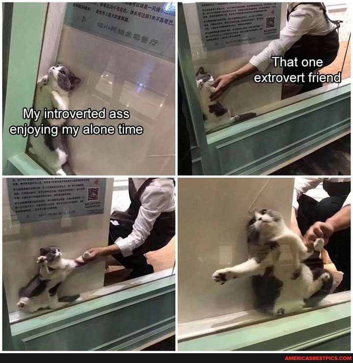 That one extrovert friend,
ily iniroverted ass enjoying my alone time