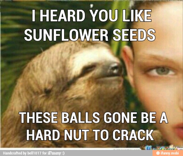 I HEARD YOU
LIKE
4 THESE¡BALLS GONE BE'A
HARD NUT TO CRACK"
