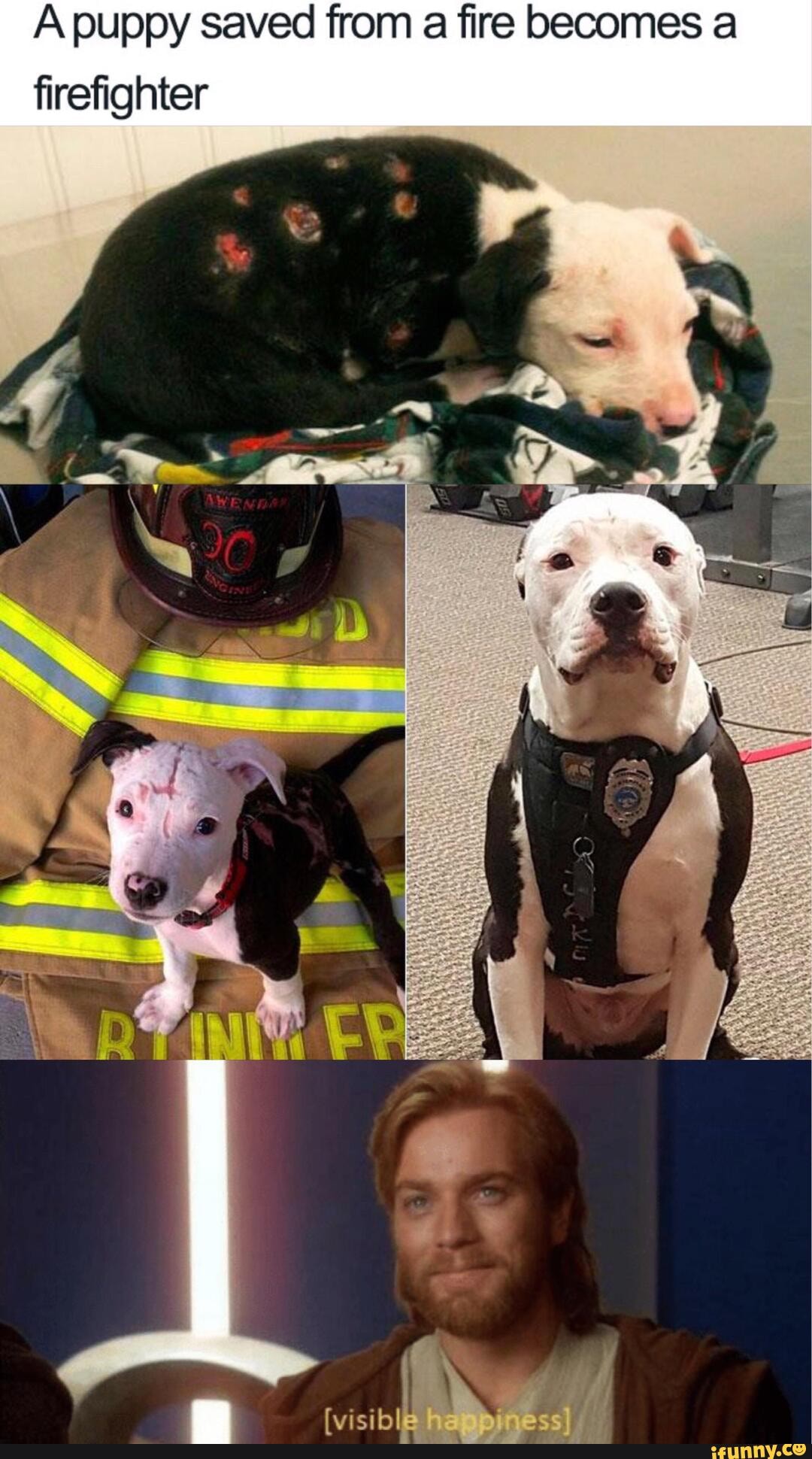 A puppy saved from a fire becomes a
firefighter