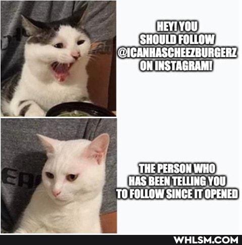 SHOULD FOLLOW ON INSTAGRAM!
THE PERSON WHO HAS BEEN TELLING YOU TO FOLLOW SINCE IT OPENED