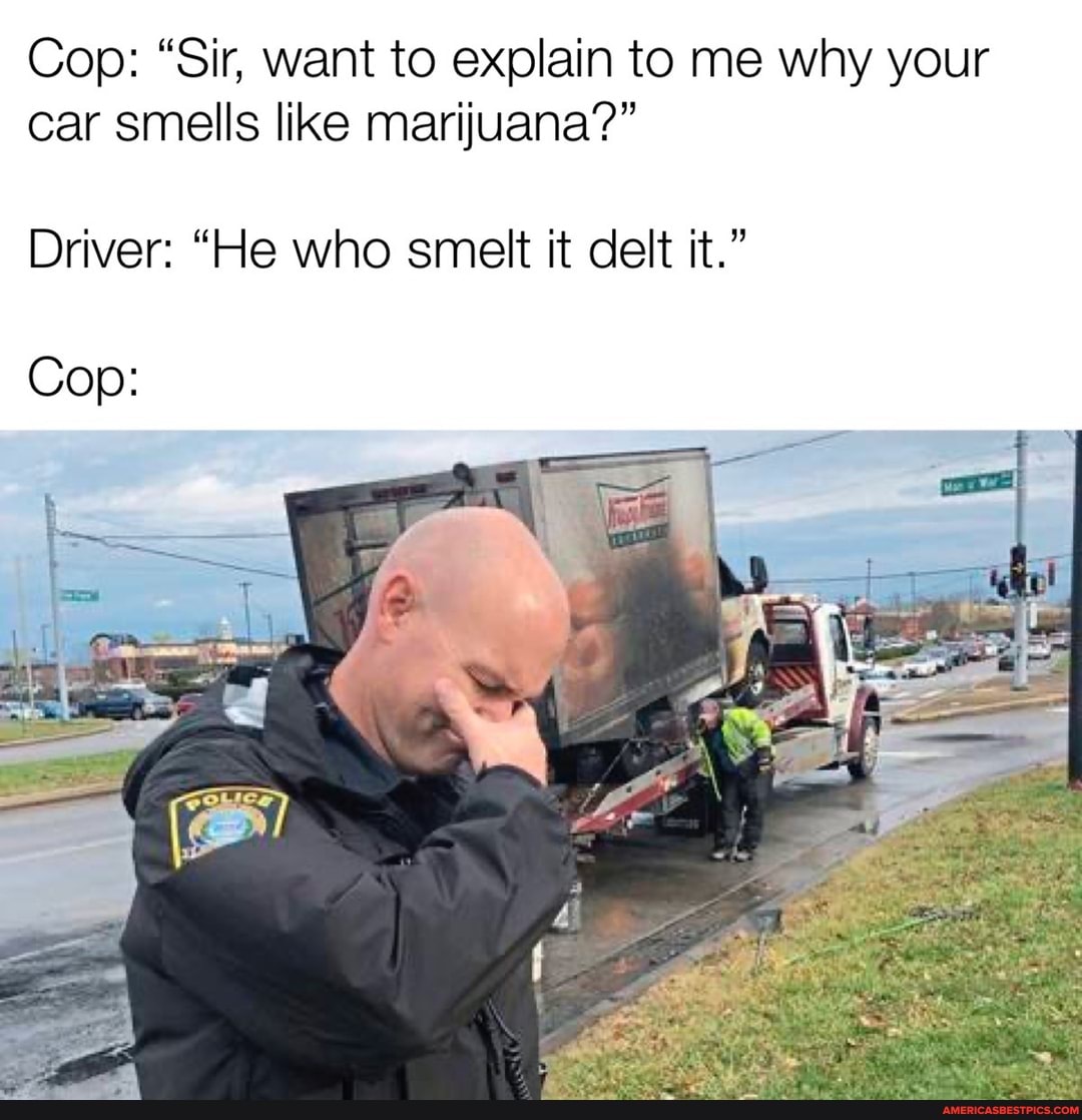 Cop: "Sir, want to explain to me why your car smells like marijuana?"
Driver: "He who smelt it delt it."
Cop: