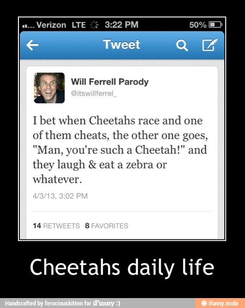 I bet when Cheetahs race
and one
of them cheats, the other one goes,
"Man, you're such a
Cheetah!" and
they laugh eat a
zebra or
whatever.
Cheetahs daily life - Cheetahs daily life
