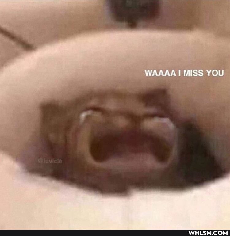 \AAA MISS YOU