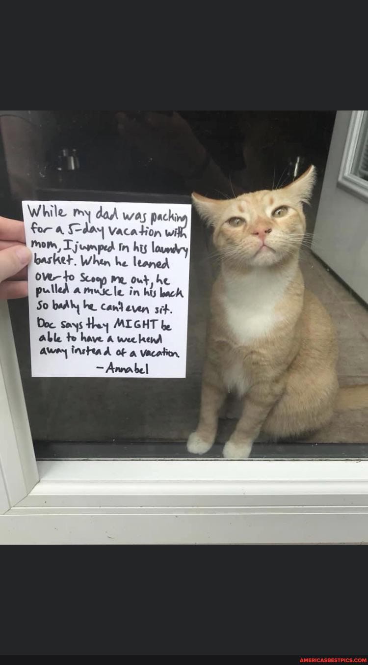 While my dad was pachi
For day Vacation mom, T jumped In his I basket When he leaned to Scooy Pe out, he pulled a muicle in his bach badly he cand even sit.
Doc Soys Hey MIGHT be
Oble te have weekend awer insteaA of vacation,
- Anrabel