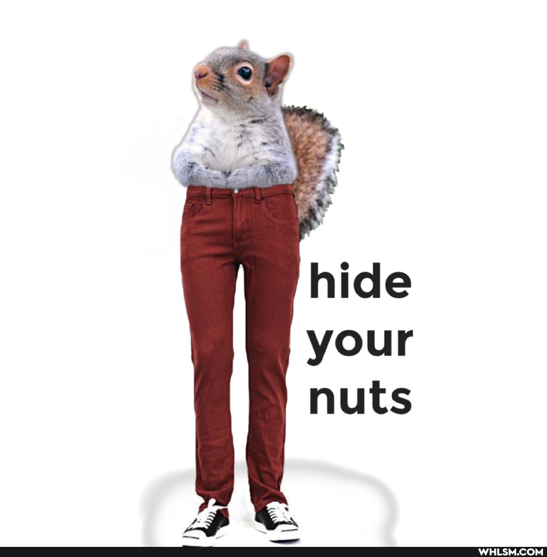 advice, advice_animals