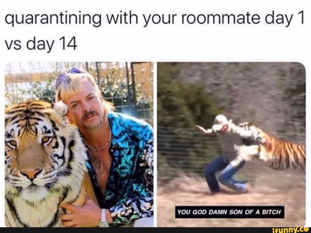 quarantining with your roommate day 1
vs day 14