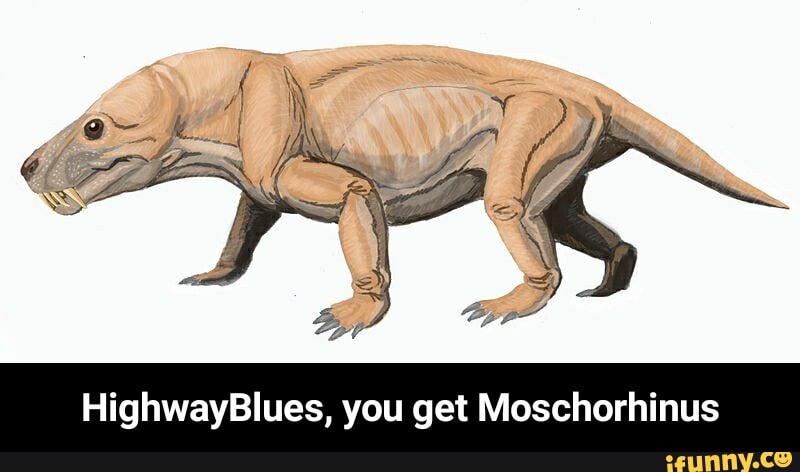 HighwayBlues, you get Moschorhinus - HighwayBlues, you get Moschorhinus