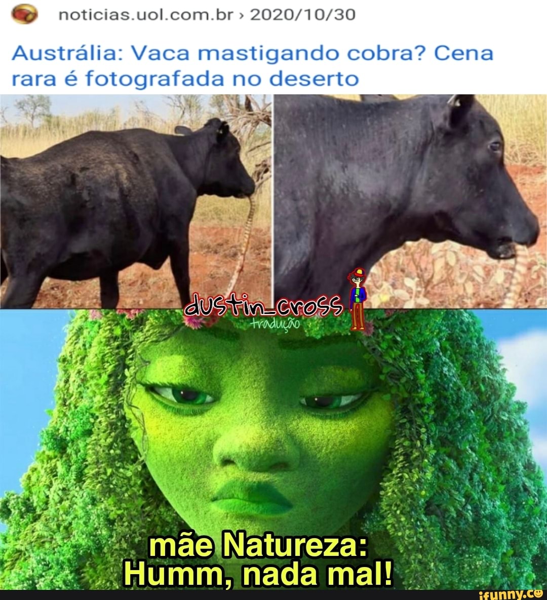noticias uol com br:
Austrália: Vaca mastigando cobra? Cena rara é fotografada no deserto
Humm, nada mal!