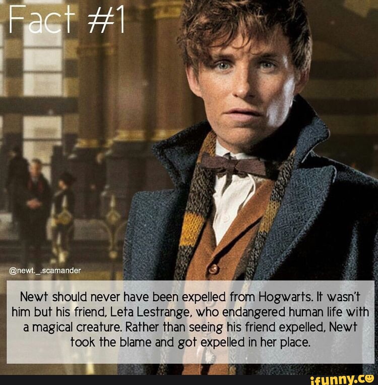 Newt Should Never Have Been Expelled From Hogwarts. L'r Wasn't Him Buf 